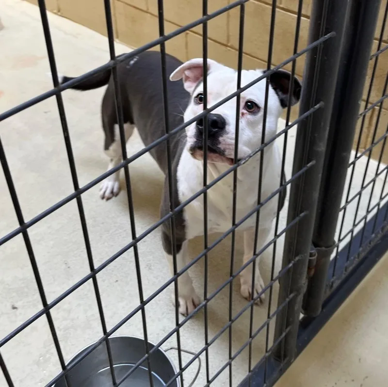 Bruce Hamilton thumbnail 2