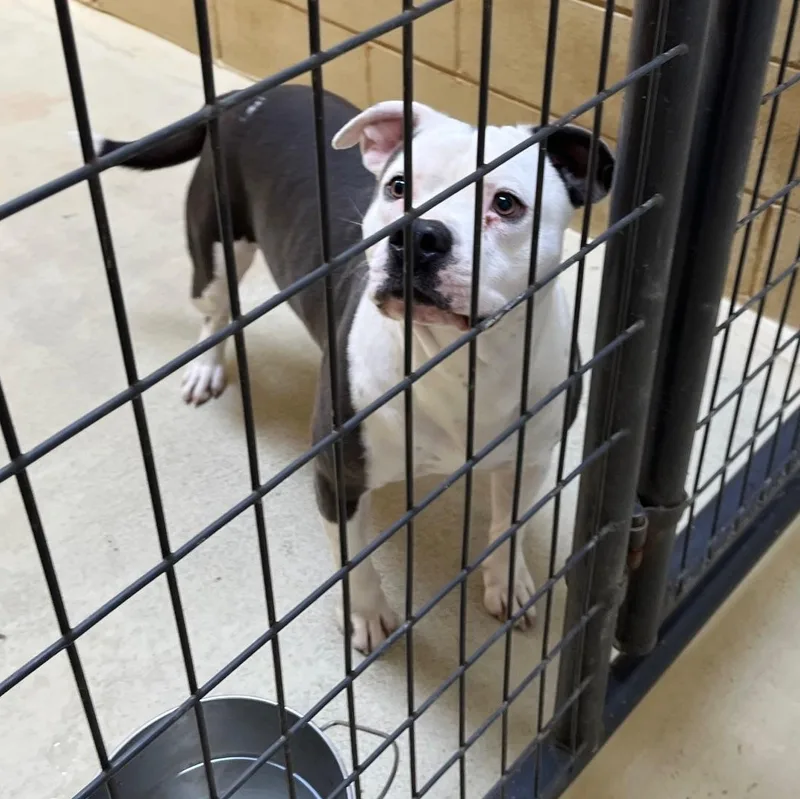 Bruce Hamilton thumbnail 5