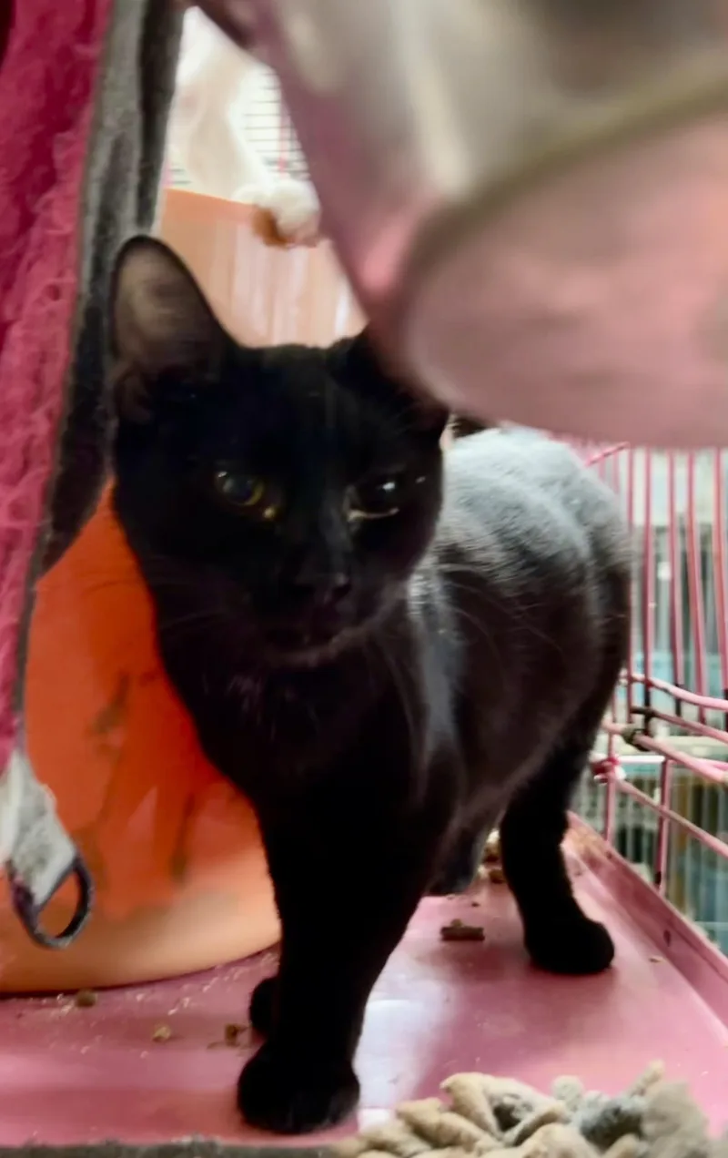 Jazmine Aka Jazz thumbnail 2