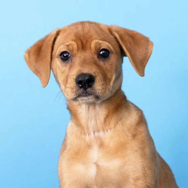 Sunshine thumbnail 2