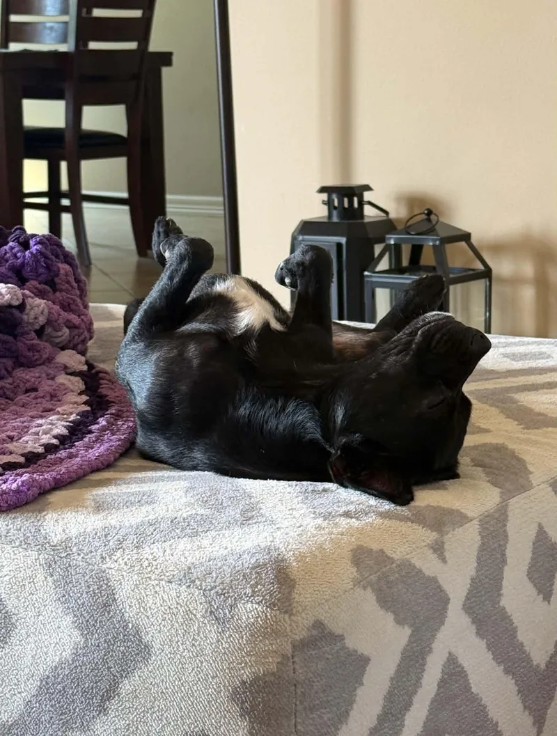 Luna