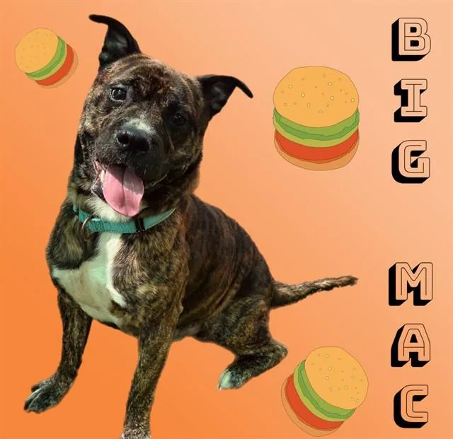 Big Mac