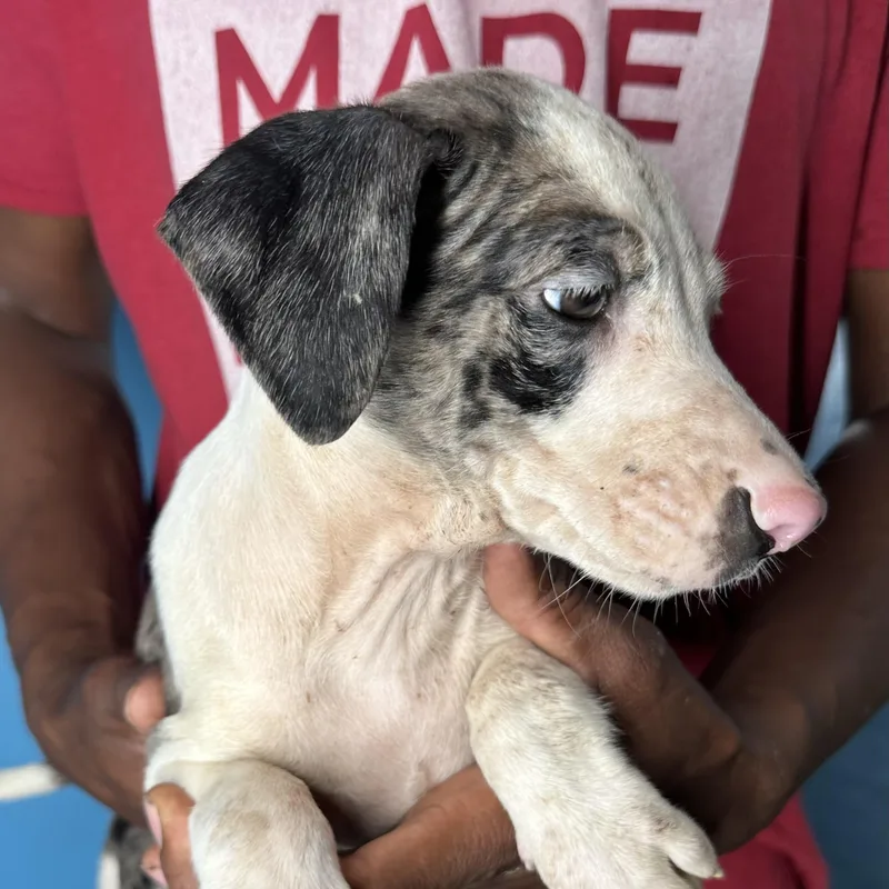 Jax  Local April thumbnail 2