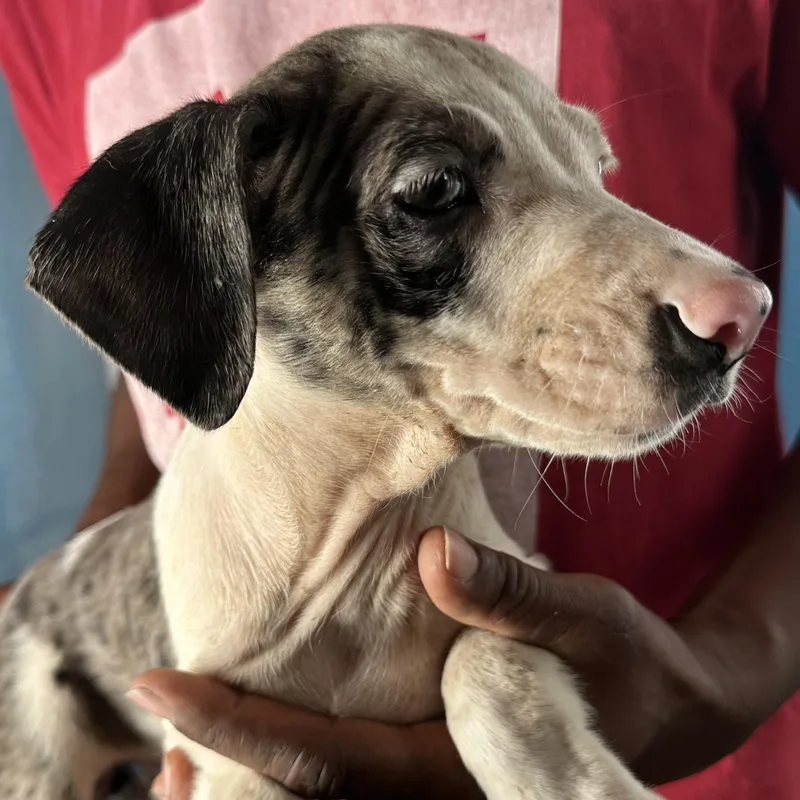 Jax  Local April thumbnail 3