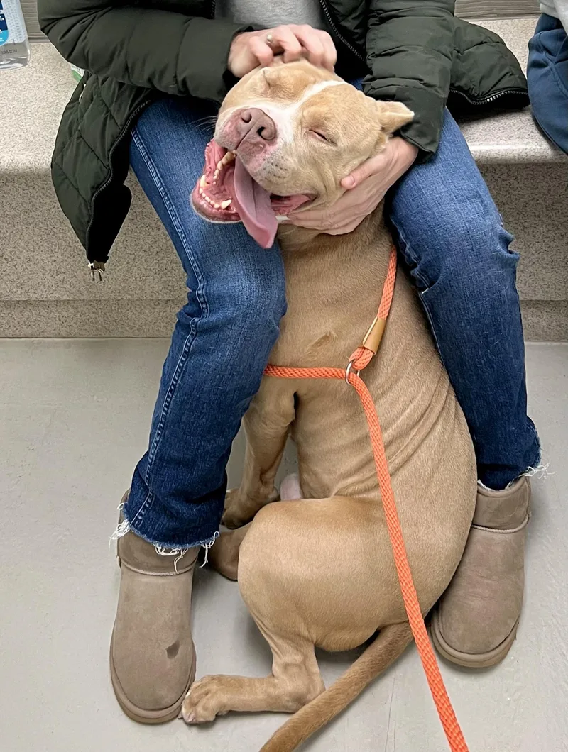 Meatloaf thumbnail 2