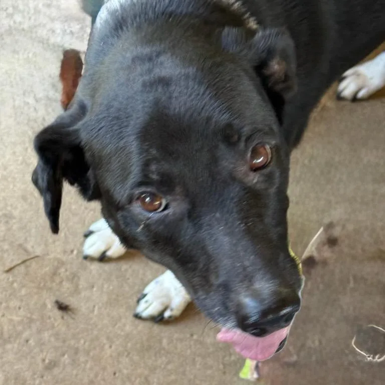 Mamacita thumbnail 2