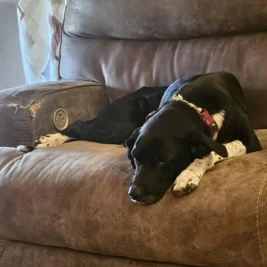 Mamacita thumbnail 3