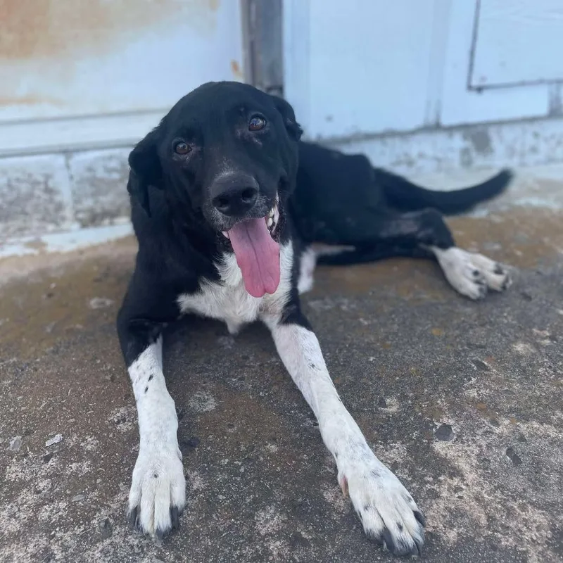 Mamacita thumbnail 4