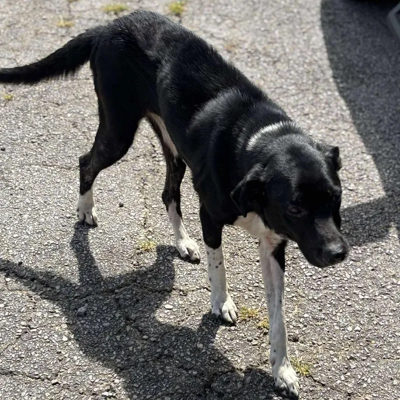 Mamacita thumbnail 5