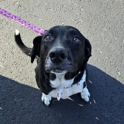 Mamacita thumbnail 6