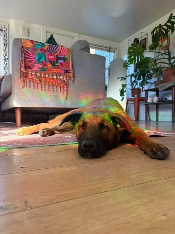 Maverick thumbnail 5