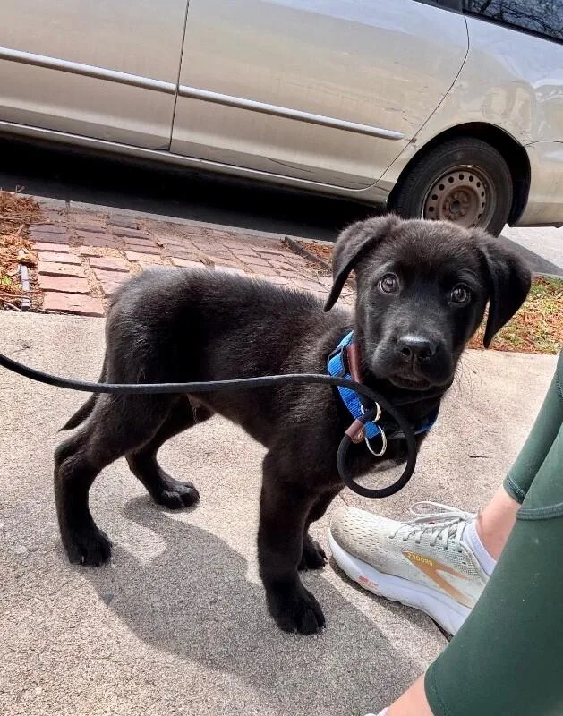 Timothee Chalamet thumbnail 2