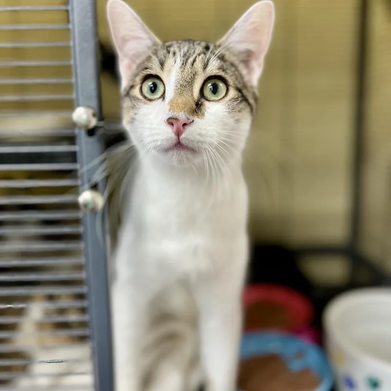 Jarnathan thumbnail 2