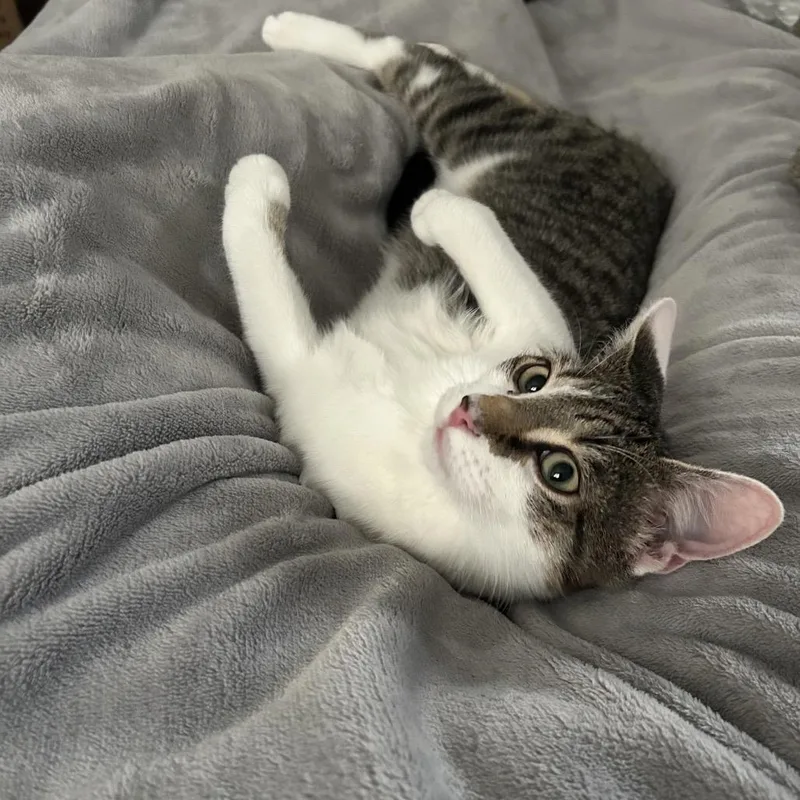 Jarnathan thumbnail 3