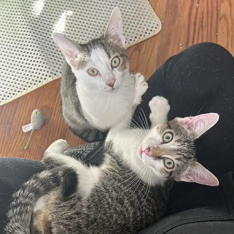 Jarnathan thumbnail 4