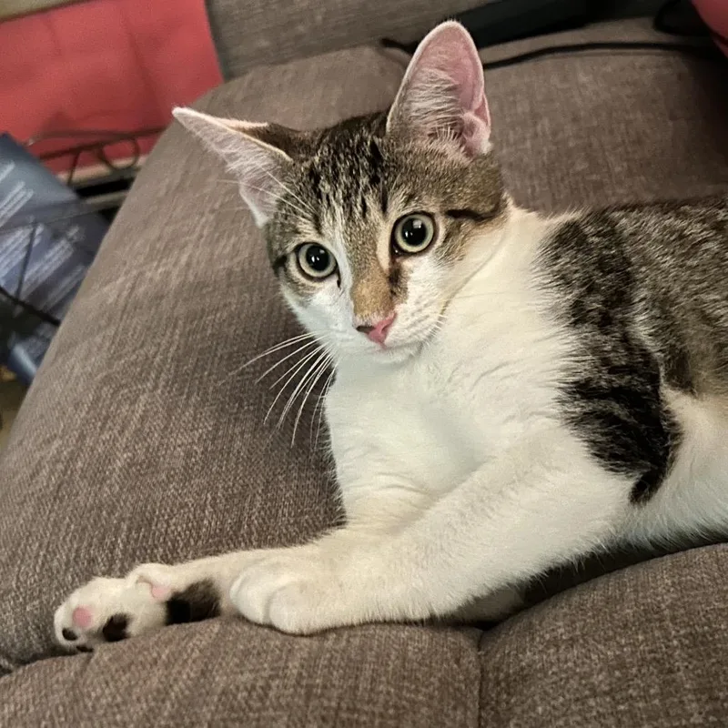 Jarnathan thumbnail 5