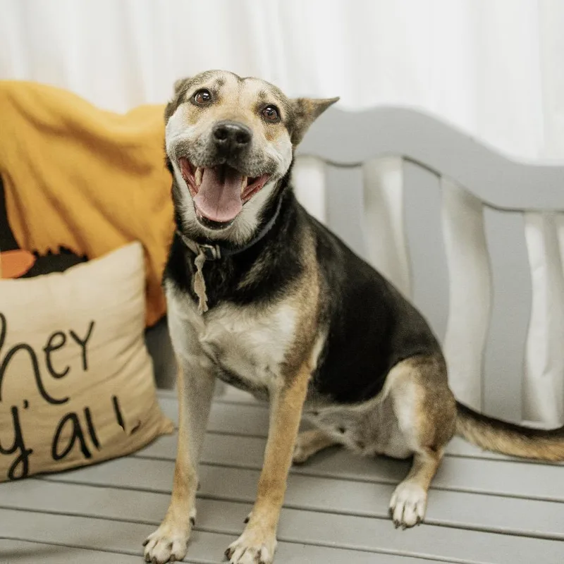 Barbara Gordon thumbnail 2