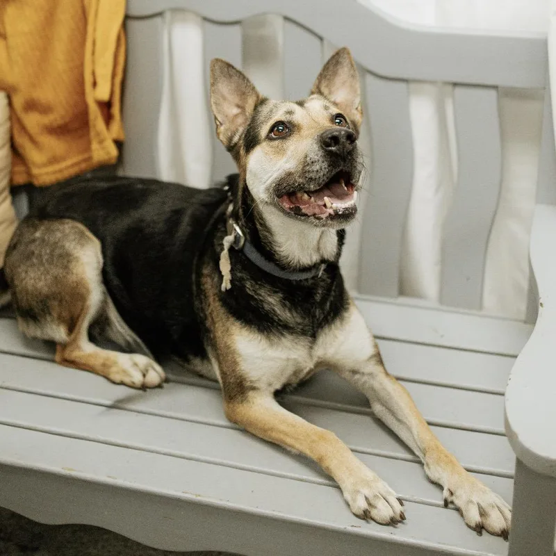 Barbara Gordon thumbnail 5