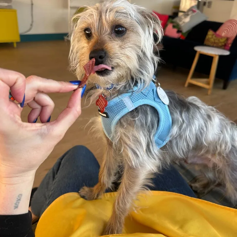 Fillmore thumbnail 2