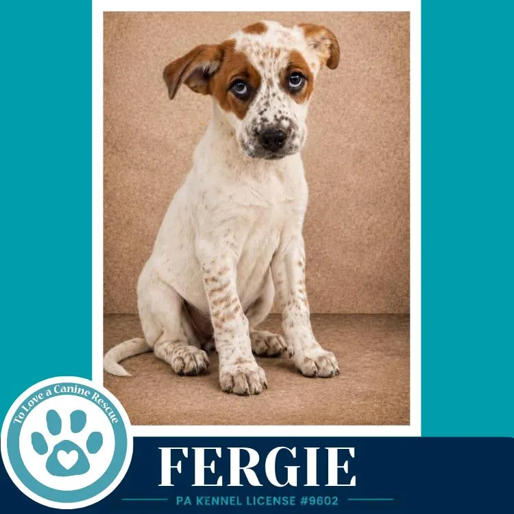 Fergie thumbnail 2