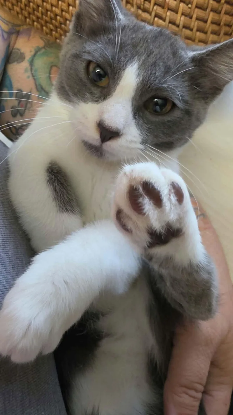 Mimi thumbnail 3