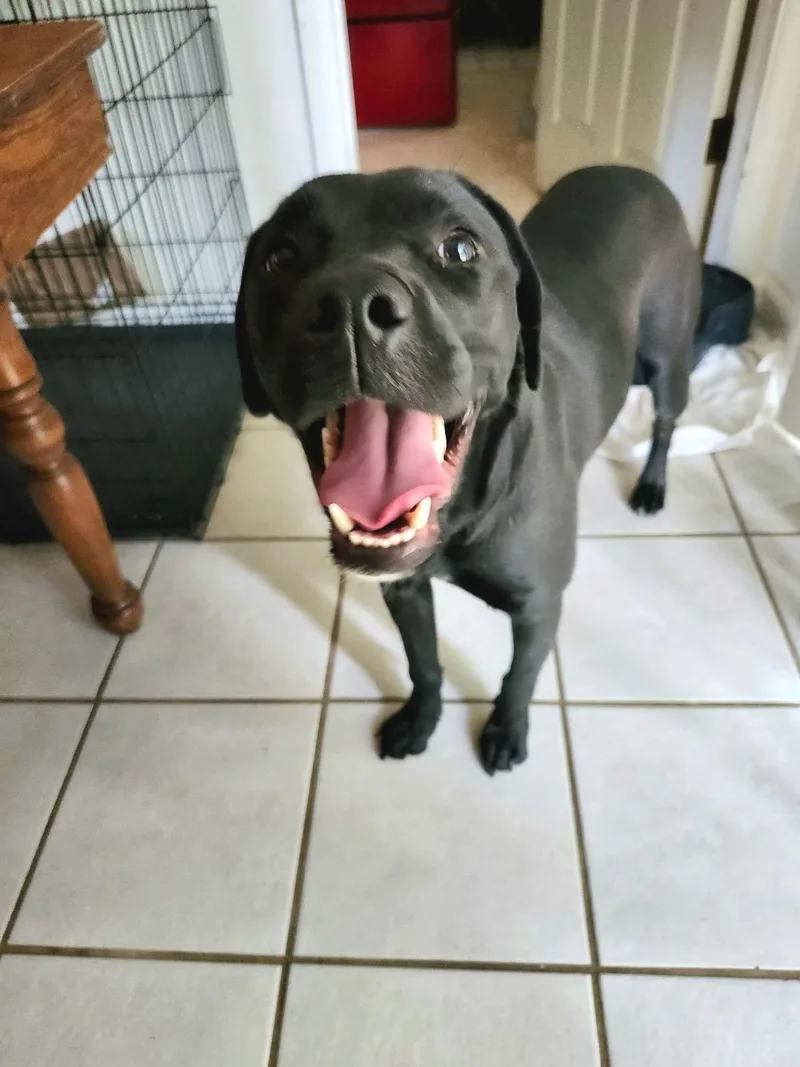 Luna
