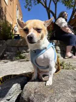 Coco