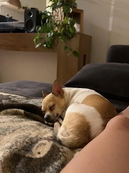 Coco thumbnail 2