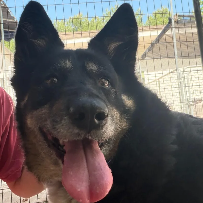 Penelope thumbnail 2