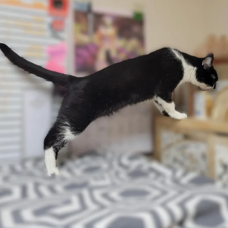 Buddy thumbnail 2