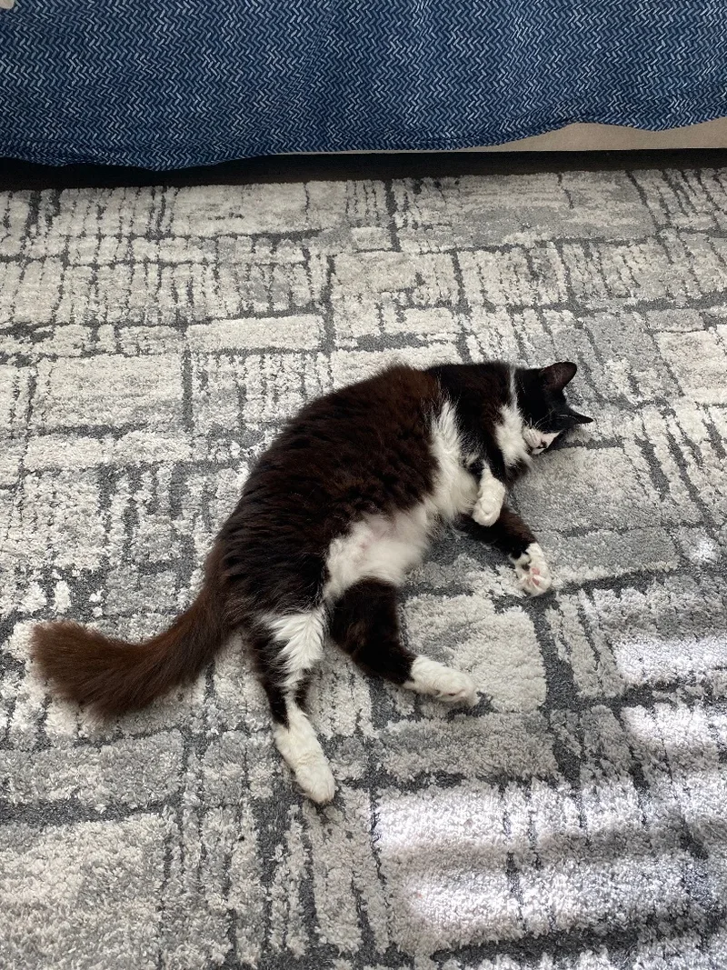 Jezzie  Deserving Of