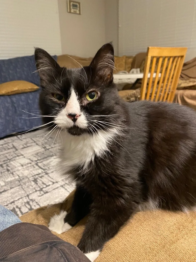 Jezzie  Deserving Of thumbnail 2