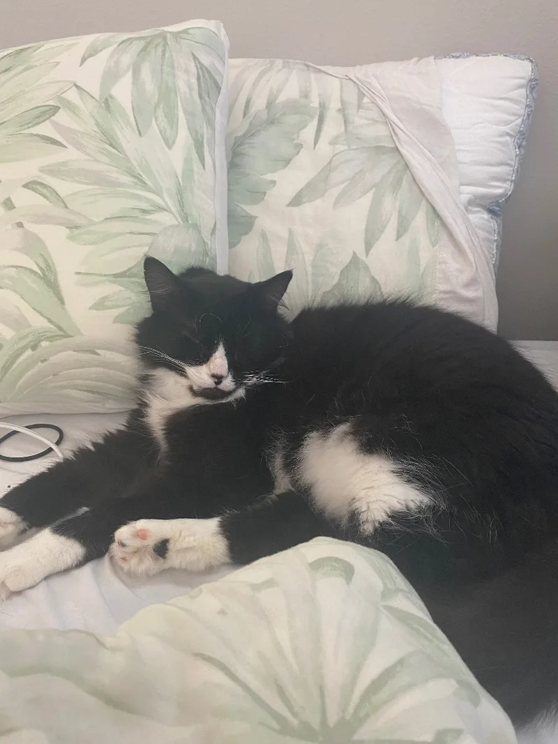 Jezzie  Deserving Of thumbnail 3