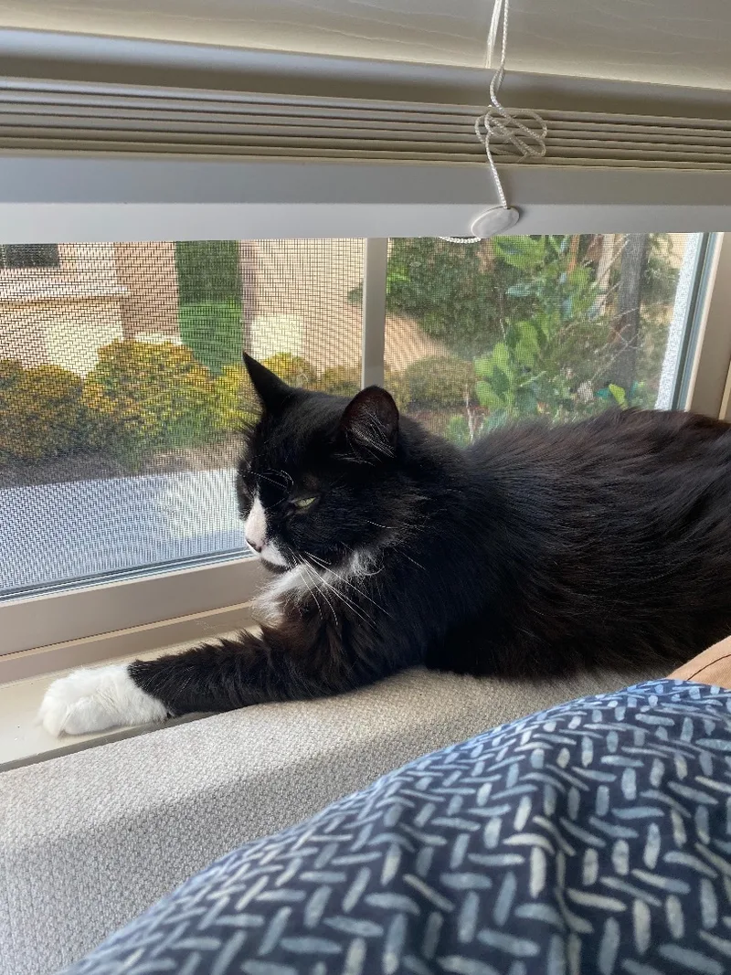 Jezzie  Deserving Of thumbnail 4