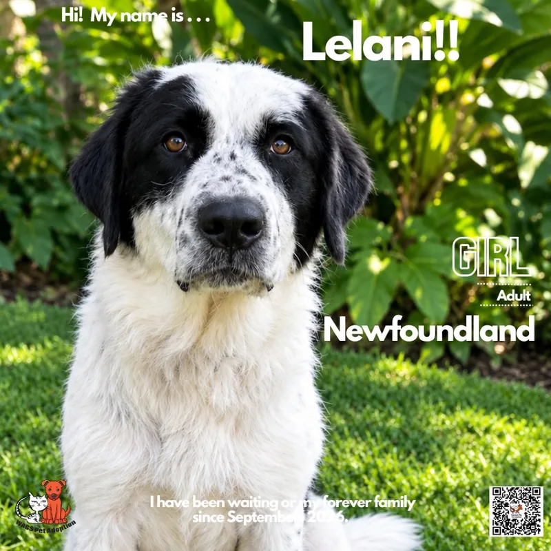 Leilani thumbnail 2