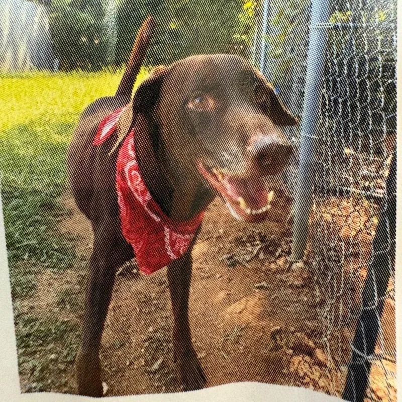 Cooper thumbnail 3
