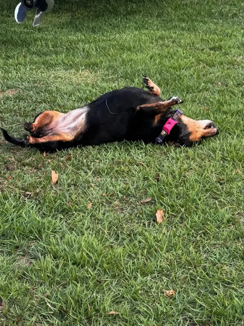 Penny