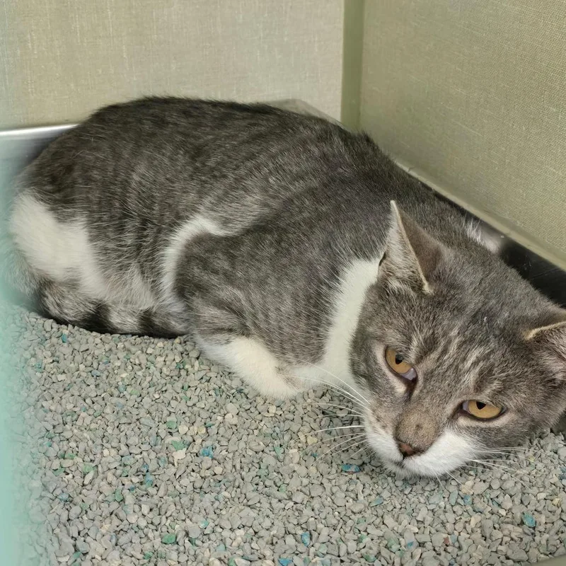 Sophie "soapy" thumbnail 2