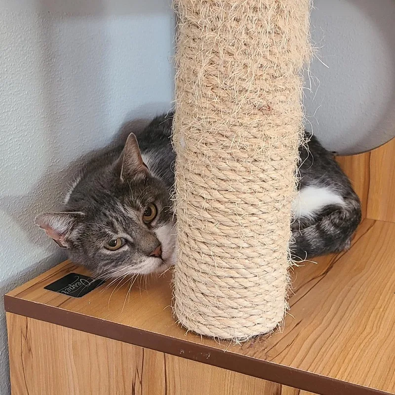 Sophie "soapy" thumbnail 3