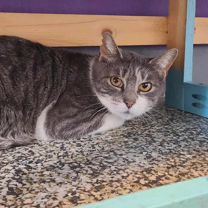 Sophie "soapy" thumbnail 4