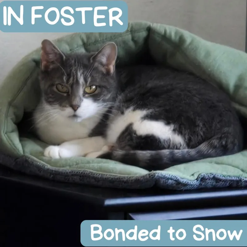 Sophie "soapy" thumbnail 5