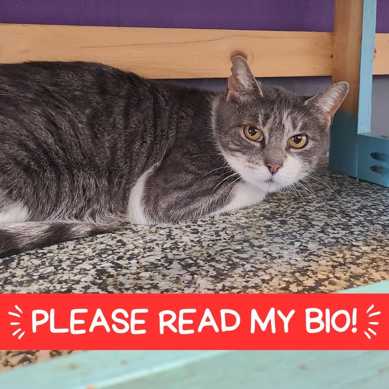 Sophie "soapy" thumbnail 6