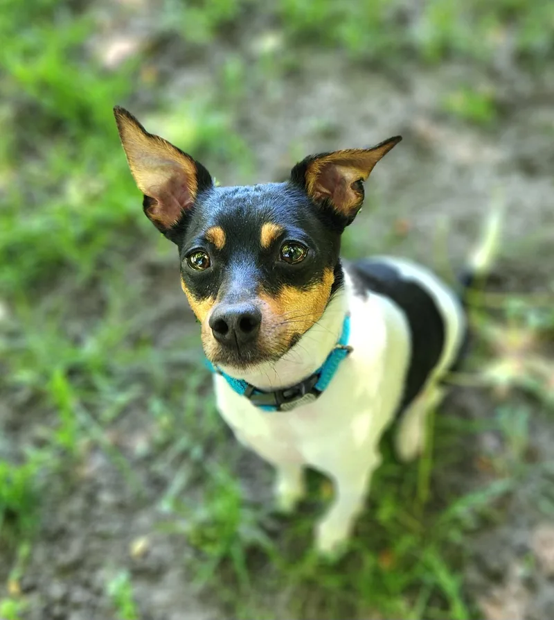 Benny