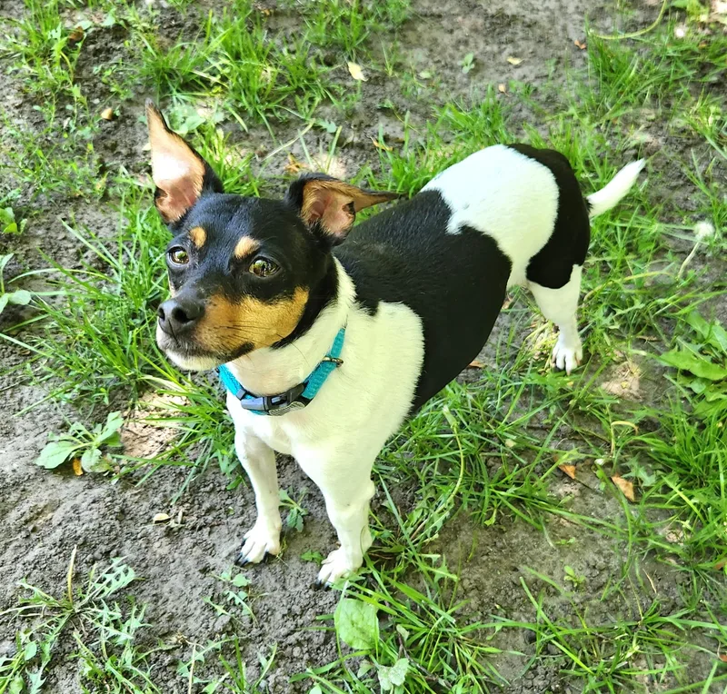 Benny thumbnail 2
