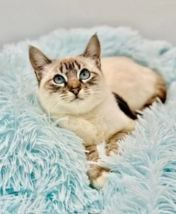 Erin Lecount thumbnail 2