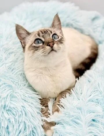 Erin Lecount thumbnail 3