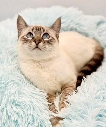 Erin Lecount thumbnail 4