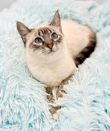 Erin Lecount thumbnail 5