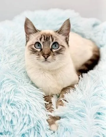 Erin Lecount thumbnail 6