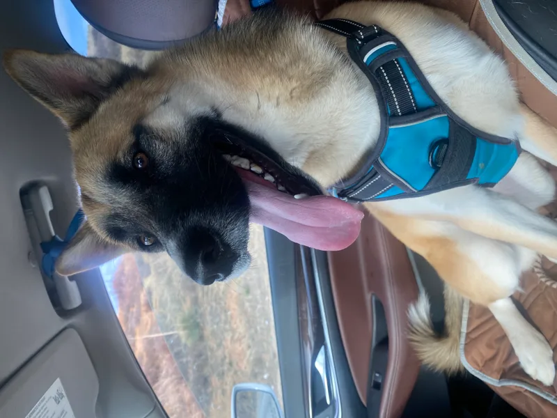 Awesome Pike Fun Fabulous thumbnail 3